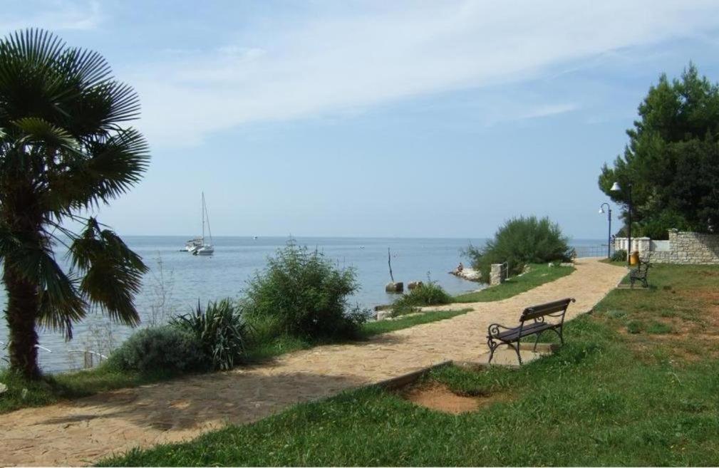 Apartment Villa Angelina, 70M From The Beach, Free Parking Novigrad  Zewnętrze zdjęcie
