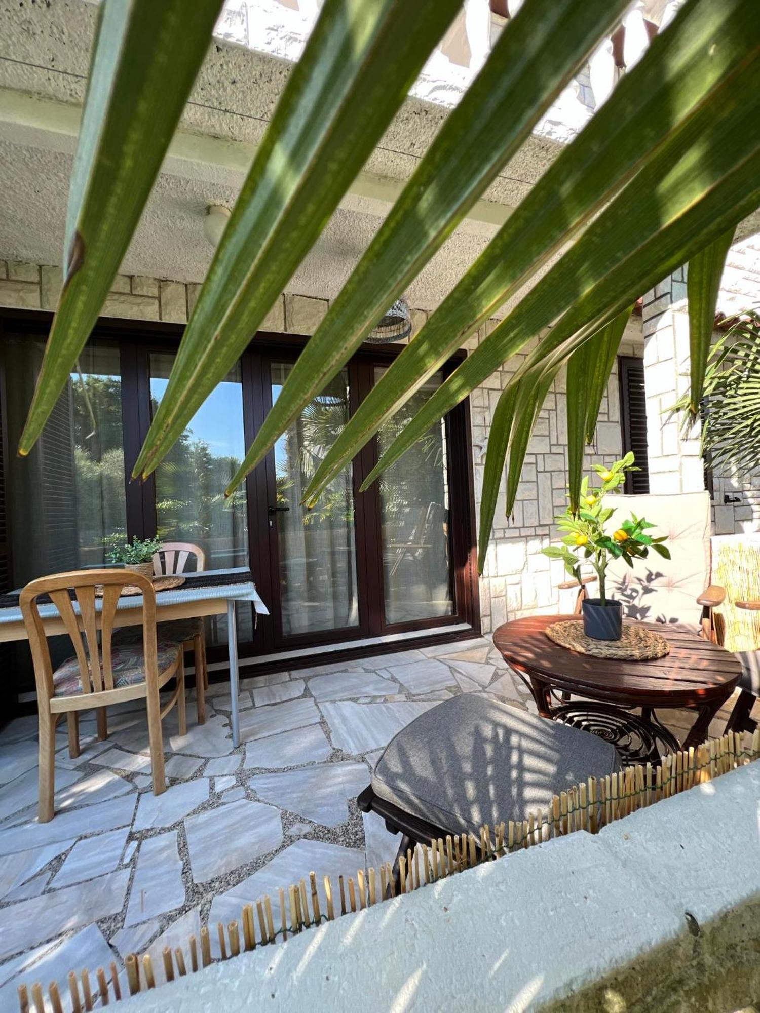 Apartment Villa Angelina, 70M From The Beach, Free Parking Novigrad  Zewnętrze zdjęcie