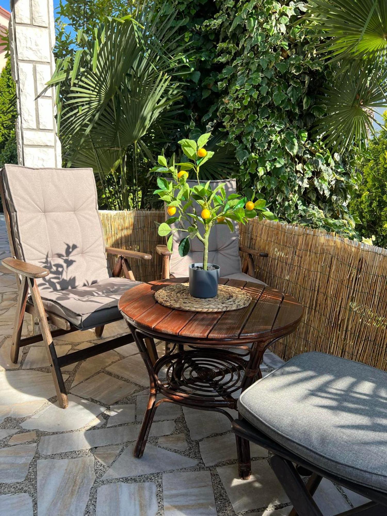 Apartment Villa Angelina, 70M From The Beach, Free Parking Novigrad  Zewnętrze zdjęcie